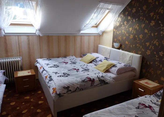 Apartmán Plischke Lipová-lázně